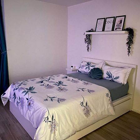 2 Zimmer Wohnung Im Herzen Von Braunschweig Exteriör bild